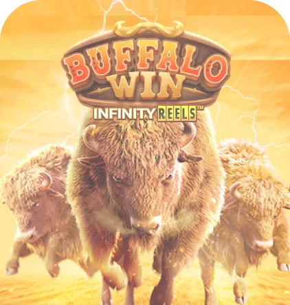 Buffalo Win